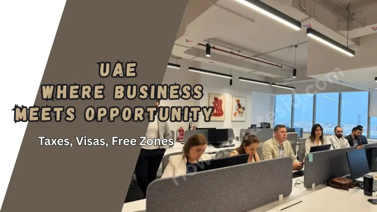 UAE business setup