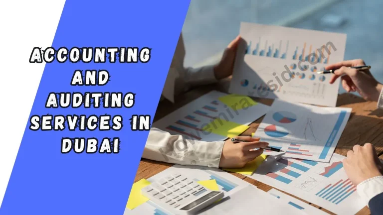 Accounting and Auditing Services
